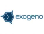 exogeno diseño